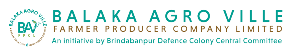 balakaagroville.com